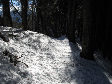 20180126hike (127)
